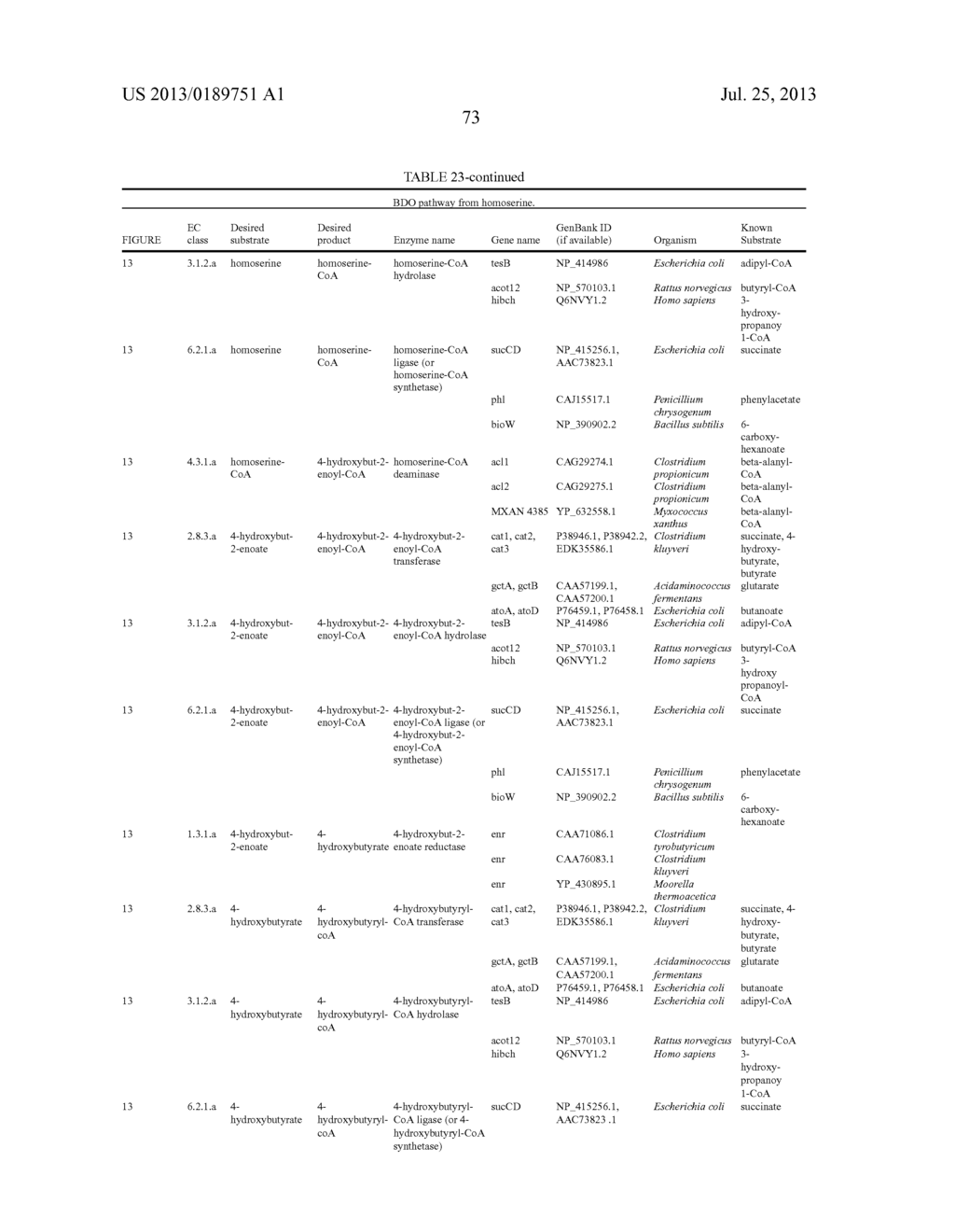 MICROORGANISMS FOR THE PRODUCTION OF 1,4-BUTANEDIOL, 4-HYDROXYBUTANAL,     4-HYDROXYBUTYRYL-COA, PUTRESCINE AND RELATED COMPOUNDS, AND METHODS     RELATED THERETO - diagram, schematic, and image 142