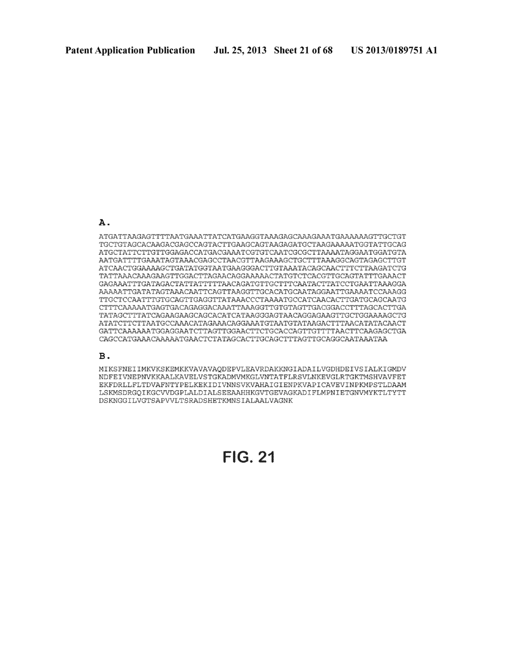 MICROORGANISMS FOR THE PRODUCTION OF 1,4-BUTANEDIOL, 4-HYDROXYBUTANAL,     4-HYDROXYBUTYRYL-COA, PUTRESCINE AND RELATED COMPOUNDS, AND METHODS     RELATED THERETO - diagram, schematic, and image 22