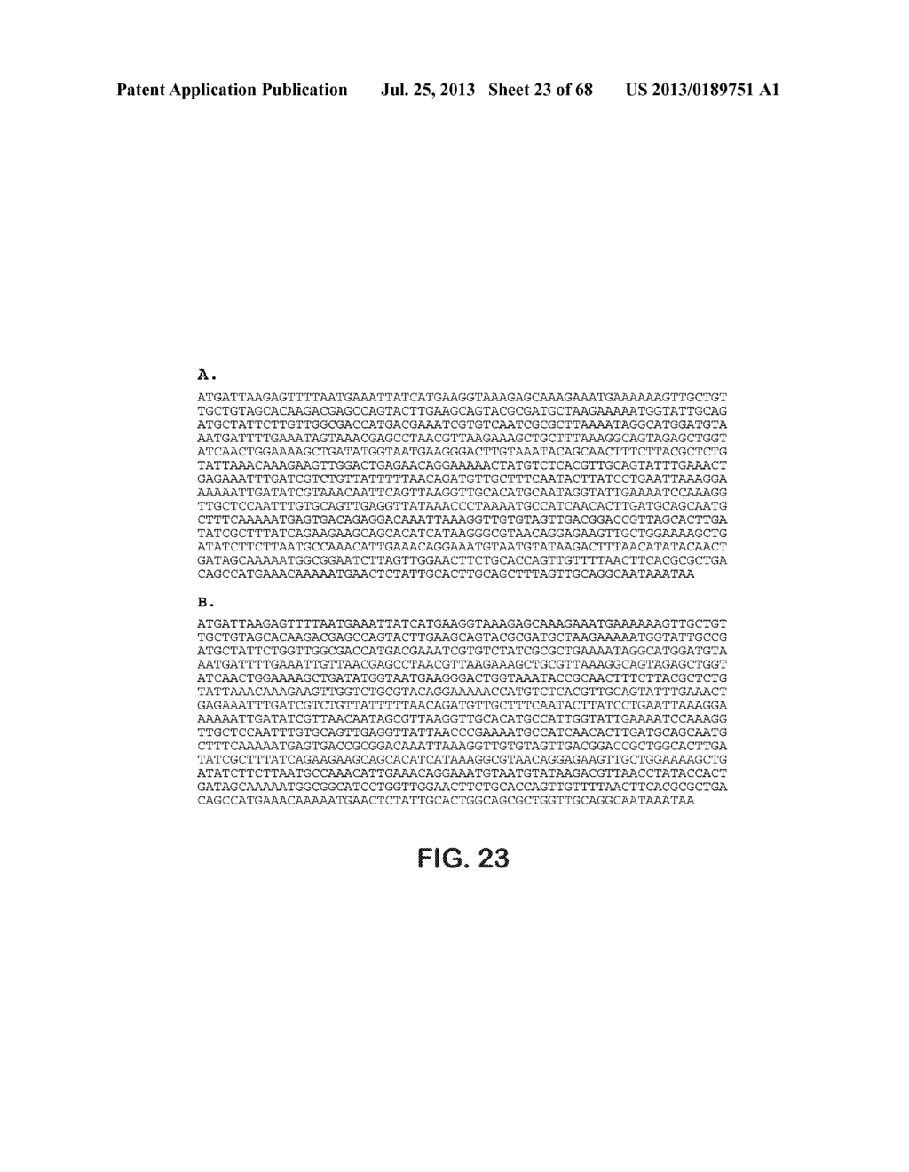 MICROORGANISMS FOR THE PRODUCTION OF 1,4-BUTANEDIOL, 4-HYDROXYBUTANAL,     4-HYDROXYBUTYRYL-COA, PUTRESCINE AND RELATED COMPOUNDS, AND METHODS     RELATED THERETO - diagram, schematic, and image 24