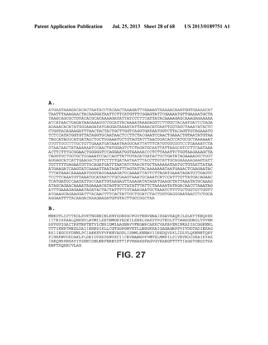 MICROORGANISMS FOR THE PRODUCTION OF 1,4-BUTANEDIOL, 4-HYDROXYBUTANAL,     4-HYDROXYBUTYRYL-COA, PUTRESCINE AND RELATED COMPOUNDS, AND METHODS     RELATED THERETO - diagram, schematic, and image 29