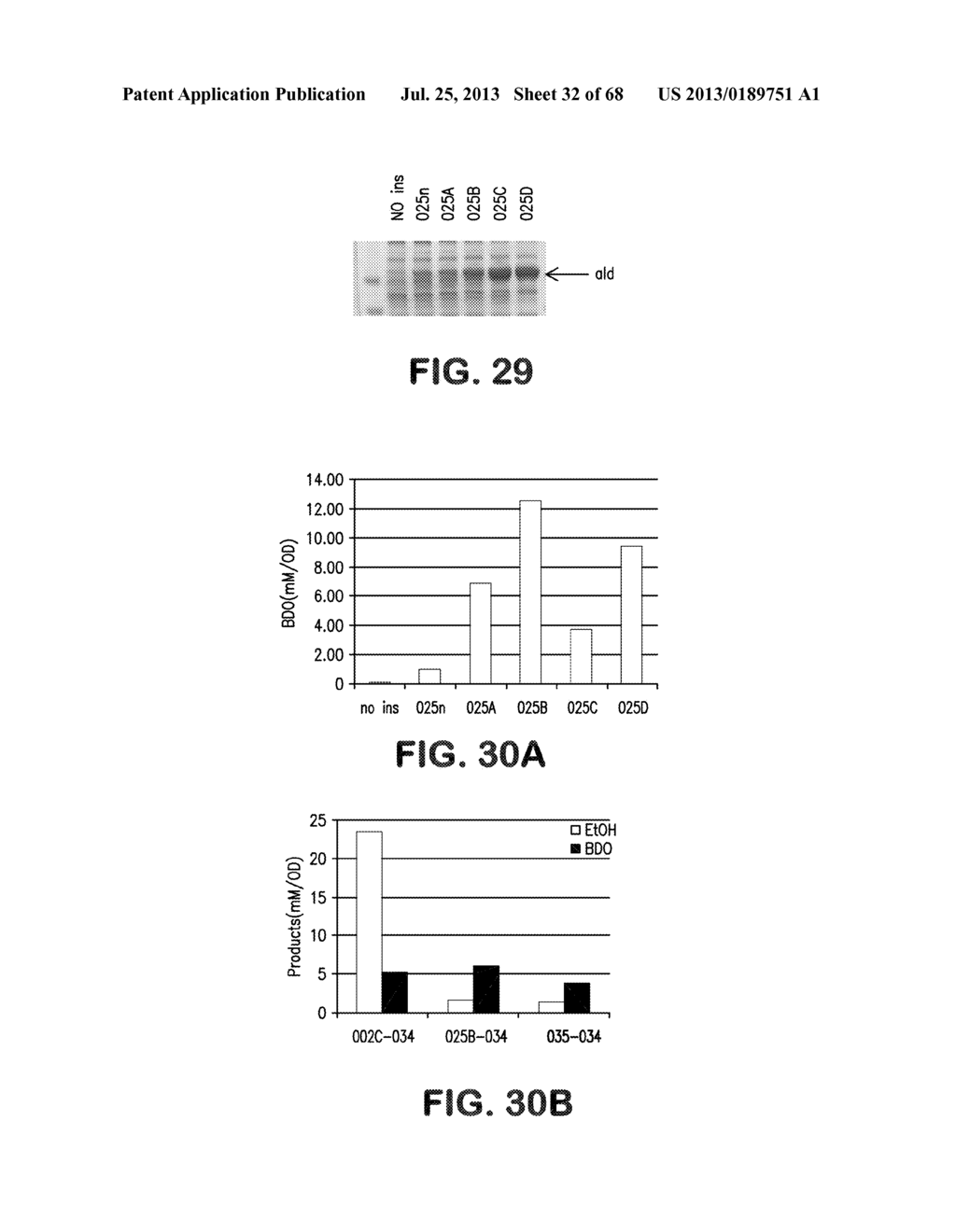 MICROORGANISMS FOR THE PRODUCTION OF 1,4-BUTANEDIOL, 4-HYDROXYBUTANAL,     4-HYDROXYBUTYRYL-COA, PUTRESCINE AND RELATED COMPOUNDS, AND METHODS     RELATED THERETO - diagram, schematic, and image 33