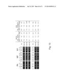 MULTI PLASMID SYSTEM FOR THE PRODUCTION OF INFLUENZA VIRUS diagram and image