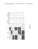 MULTI PLASMID SYSTEM FOR THE PRODUCTION OF INFLUENZA VIRUS diagram and image