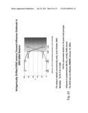 MULTI PLASMID SYSTEM FOR THE PRODUCTION OF INFLUENZA VIRUS diagram and image