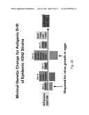 MULTI PLASMID SYSTEM FOR THE PRODUCTION OF INFLUENZA VIRUS diagram and image