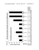 MULTI PLASMID SYSTEM FOR THE PRODUCTION OF INFLUENZA VIRUS diagram and image