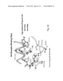 MULTI PLASMID SYSTEM FOR THE PRODUCTION OF INFLUENZA VIRUS diagram and image