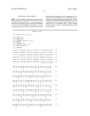 HEPATITIS C VIRUS GENE diagram and image