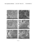 CHEMICALLY BONDED CERAMICS BASED ON FLY ASH diagram and image