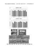 THE USE OF ALKYLATED SEMI-SYNTHETIC GLYCOSAMINOGLYCOSAN ETHERS FOR THE     TREATMENT OF DENTAL DISORDERS diagram and image