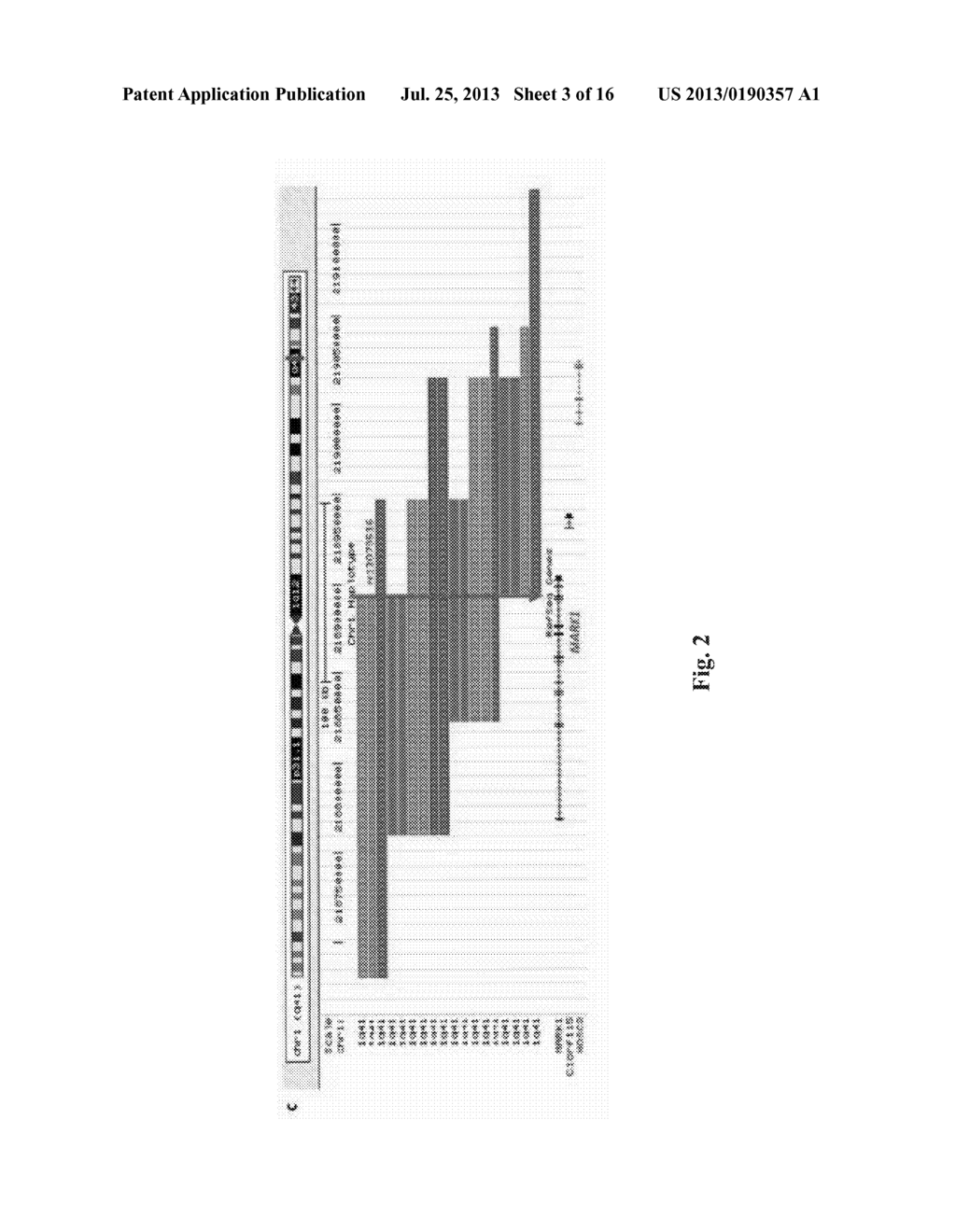 COMPOSITIONS AND METHODS FOR ASSESSING AND TREATING A PRECURSOR LESION     AND/OR ESOPHAGEAL CANCER - diagram, schematic, and image 04