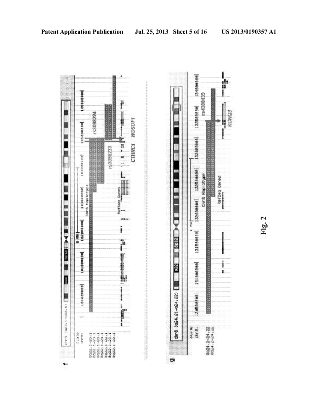 COMPOSITIONS AND METHODS FOR ASSESSING AND TREATING A PRECURSOR LESION     AND/OR ESOPHAGEAL CANCER - diagram, schematic, and image 06