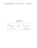 Novel Tetrahydronaphalene Antagonists to the Thromboxane A2 (TP) Receptor diagram and image