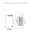 INHIBITORS OF LONG AND VERY LONG CHAIN FATTY ACID METABOLISM AS BROAD     SPECTRUM ANTI-VIRALS diagram and image