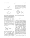 AUTOIMMUNE DISORDER TREATMENT USING RXR AGONISTS diagram and image