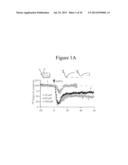 Methods Of Treating Autism With mGluR5 Antagonists diagram and image