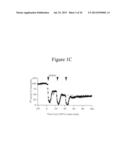 Methods Of Treating Autism With mGluR5 Antagonists diagram and image