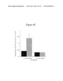 Methods Of Treating Autism With mGluR5 Antagonists diagram and image