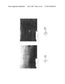 DISPERSIONS OF SILICON NANOPARTICLES diagram and image