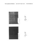 DISPERSIONS OF SILICON NANOPARTICLES diagram and image