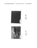 DISPERSIONS OF SILICON NANOPARTICLES diagram and image