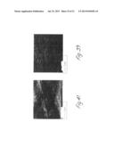 DISPERSIONS OF SILICON NANOPARTICLES diagram and image