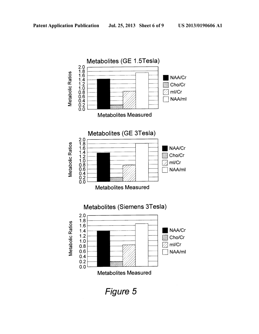 COMBINED QUANTITATIVE MRI AND QUANTITATIVE MRS FOR DIAGNOSIS OF ALZHEIMERS      DISEASE AND HIPPOCAMPAL SCLEROSIS - diagram, schematic, and image 07