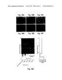 PATCH APPLYING APPARATUS diagram and image