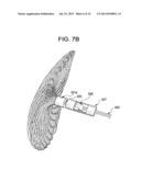 SINGLE DISC OCCLUSIONARY PATENT FORAMEN OVALE CLOSURE DEVICE diagram and image