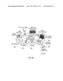 METHOD FOR THE BIOACTIVATION OF BIOCHAR FOR USE AS A SOIL AMENDMENT diagram and image