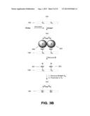 GRAPHENE MEMBRANE WITH REGULAR ANGSTROM-SCALE PORES diagram and image