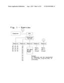 Computer system for the timed firing of pyrotechnic devices that uses a     closed or open ethernet network. diagram and image