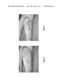 Human Tissue Models, Materials, and Methods diagram and image