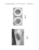 Human Tissue Models, Materials, and Methods diagram and image