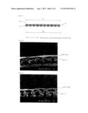 Stretch Composite Fabric and Exapnded Porous Polytetrafluoroethylene Film diagram and image