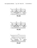 SYSTEM AND METHOD FOR TISSUE CONSTRUCTION USING AN ELECTRIC  FIELD     APPLICATOR diagram and image