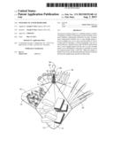 Foldable Planter or Holder diagram and image