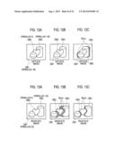 STEREOSCOPIC IMAGE GENERATION APPARATUS AND STEREOSCOPIC IMAGE GENERATION     METHOD diagram and image