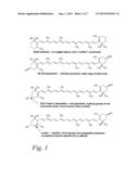 Diagnostic, Prescriptive, And Data-Gathering System And Method For Macular     Pigment Deficits And Other Eye Disorders diagram and image