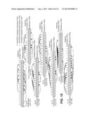 DEVICES FOR RECONFIGURING UPLINK AND DOWNLINK ALLOCATIONS diagram and image