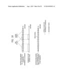 APPARATUS AND METHOD FOR CONTROLLING IN-DEVICE COEXISTENCE INTERFERENCE IN     WIRELESS COMMUNICATION SYSTEM diagram and image