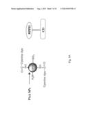 PAA NANOPLATFORMS CONTAINING FLUOROPHORES AND TARGETED MOIETIES COVALENTLY     LINKED AND PHOTOSENSITIZER POST-LOADED diagram and image