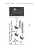 PAA NANOPLATFORMS CONTAINING FLUOROPHORES AND TARGETED MOIETIES COVALENTLY     LINKED AND PHOTOSENSITIZER POST-LOADED diagram and image