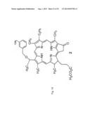 PAA NANOPLATFORMS CONTAINING FLUOROPHORES AND TARGETED MOIETIES COVALENTLY     LINKED AND PHOTOSENSITIZER POST-LOADED diagram and image