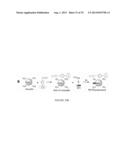 PAA NANOPLATFORMS CONTAINING FLUOROPHORES AND TARGETED MOIETIES COVALENTLY     LINKED AND PHOTOSENSITIZER POST-LOADED diagram and image