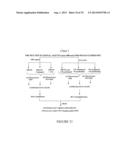 PAA NANOPLATFORMS CONTAINING FLUOROPHORES AND TARGETED MOIETIES COVALENTLY     LINKED AND PHOTOSENSITIZER POST-LOADED diagram and image