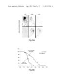 CNS TARGETING AAV VECTORS AND METHODS OF USE THEREOF diagram and image