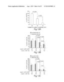 CNS TARGETING AAV VECTORS AND METHODS OF USE THEREOF diagram and image