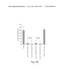 CNS TARGETING AAV VECTORS AND METHODS OF USE THEREOF diagram and image