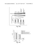 CNS TARGETING AAV VECTORS AND METHODS OF USE THEREOF diagram and image